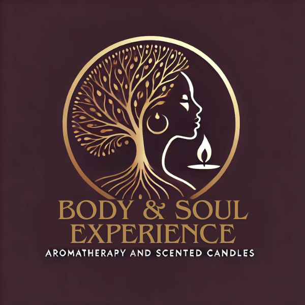 Body and Soul Experience logo